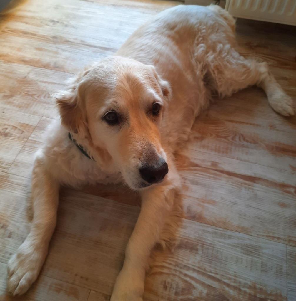 Kundinnenstimme von Tanja